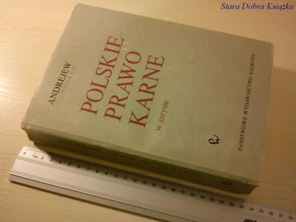 POLSKIE PRAWO KARNE W ZARYSIE - Igor Andrejew 1989 Rabat