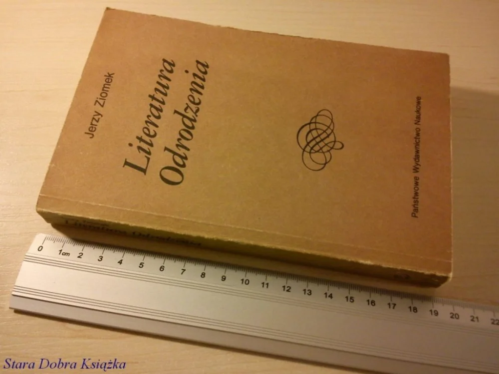 Szybka dostawa LITERATURA ODRODZENIA - Jerzy Ziomek (1989)