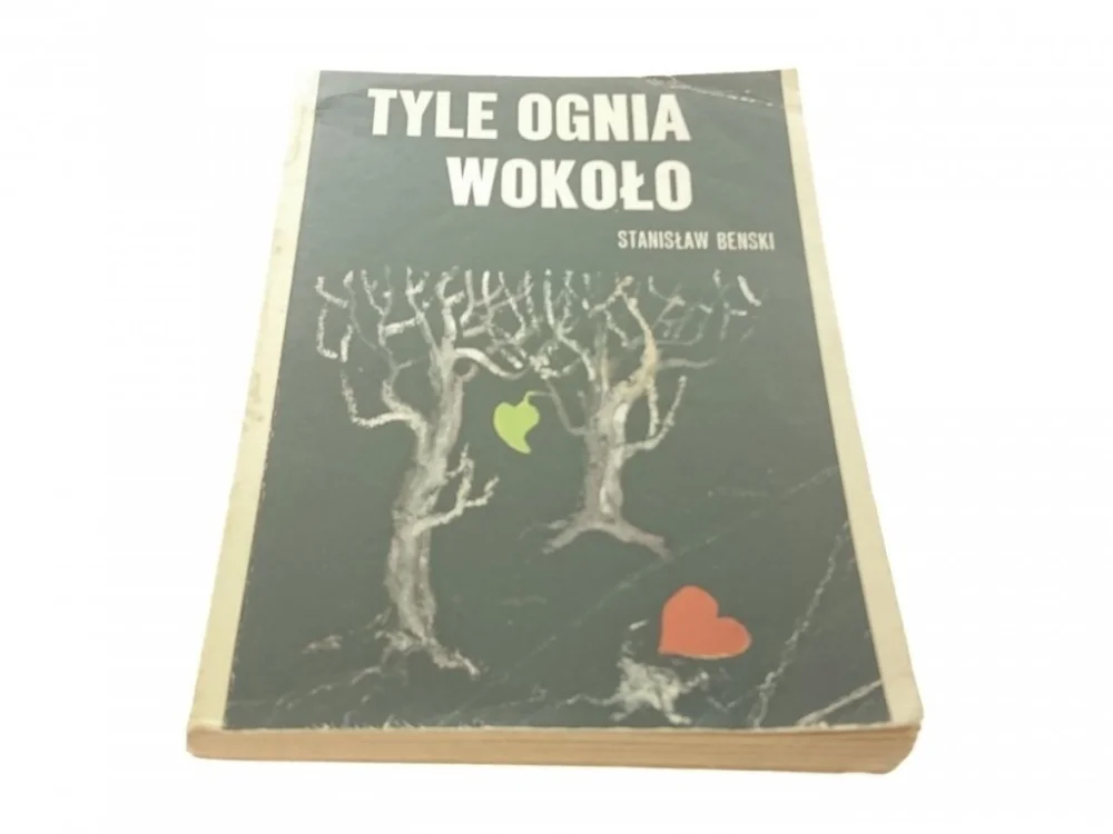 TYLE OGNIA WOKOŁO - STANISŁAW BEŃSKI Super okazja