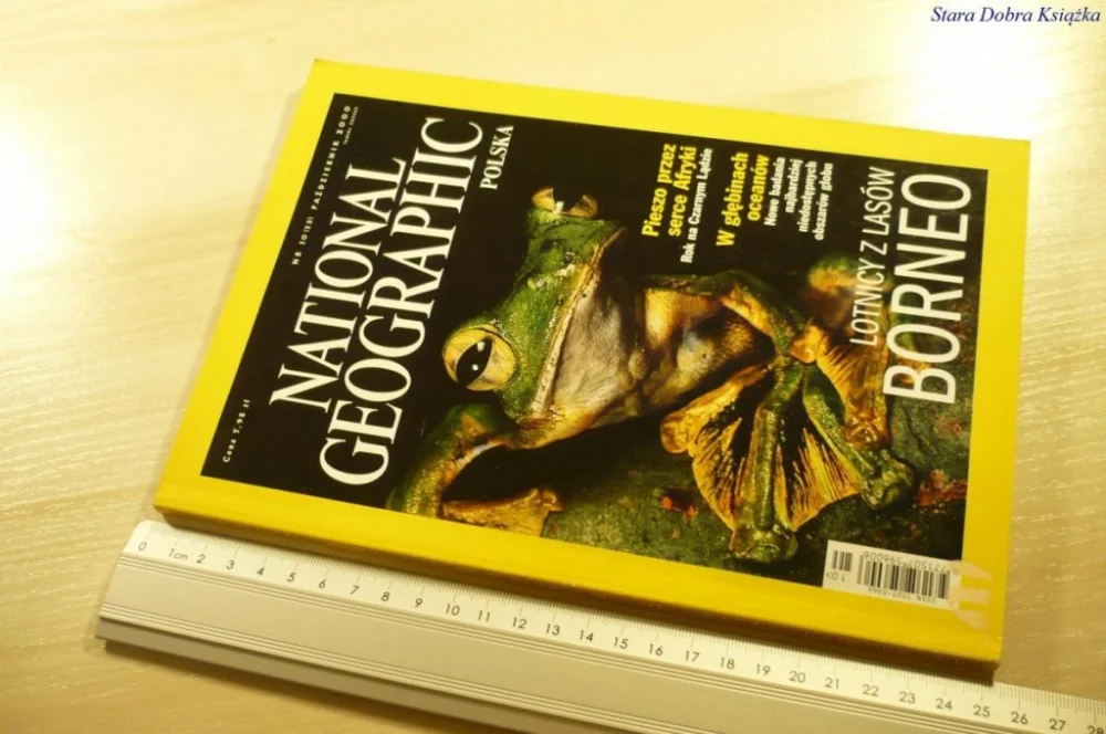 Nowy NATIONAL GEOGRAPHIC POLSKA NR 10 (13) PAŹ 2000