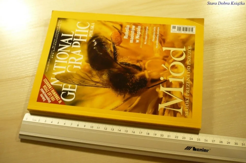 Oferta limitowana NATIONAL GEOGRAPHIC POLSKA NR 11 (74) LIS 2005