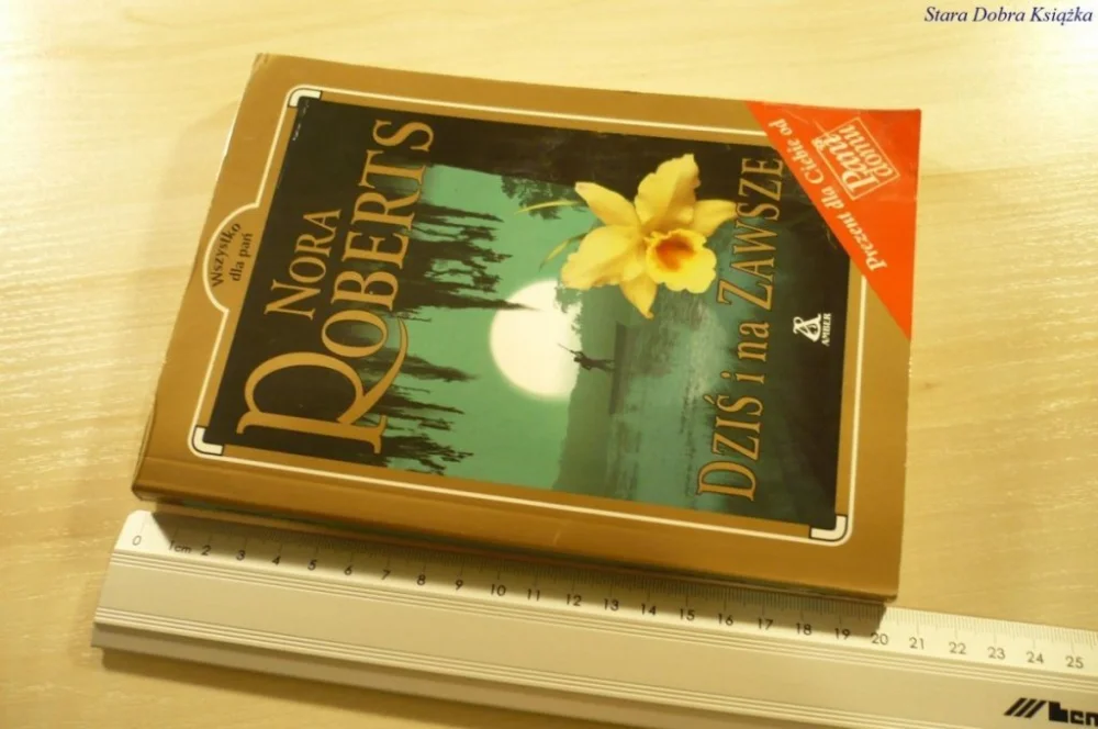 Nowy DZIŚ I NA ZAWSZE - Nora Roberts (2001)