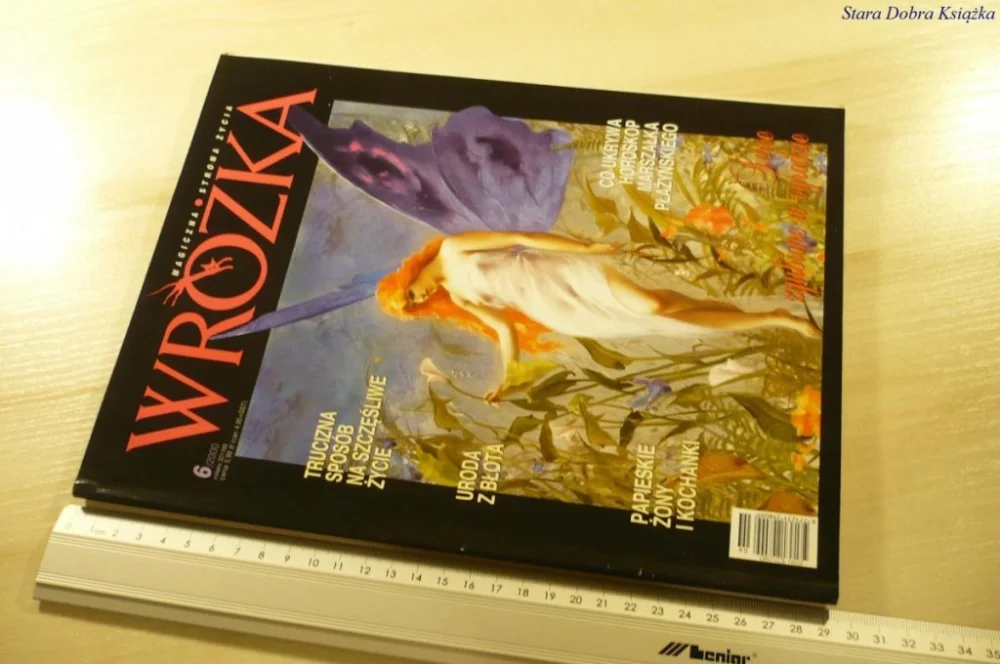 Szybka dostawa WRÓŻKA 6/2000