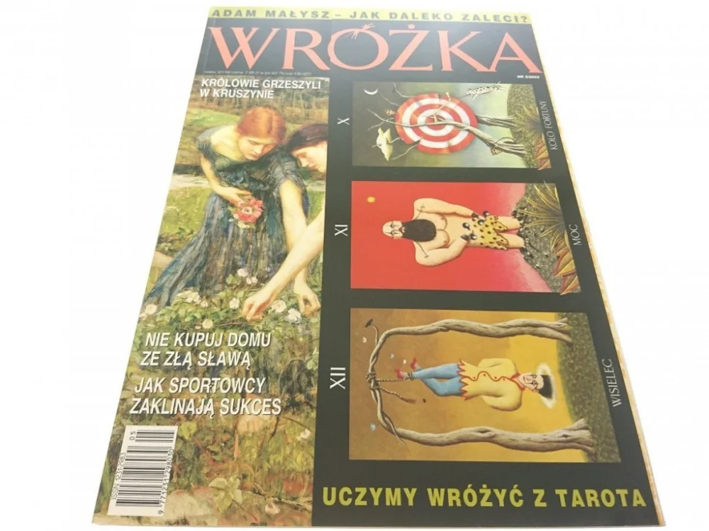 WRÓŻKA 5/2003 Wyprzedaż