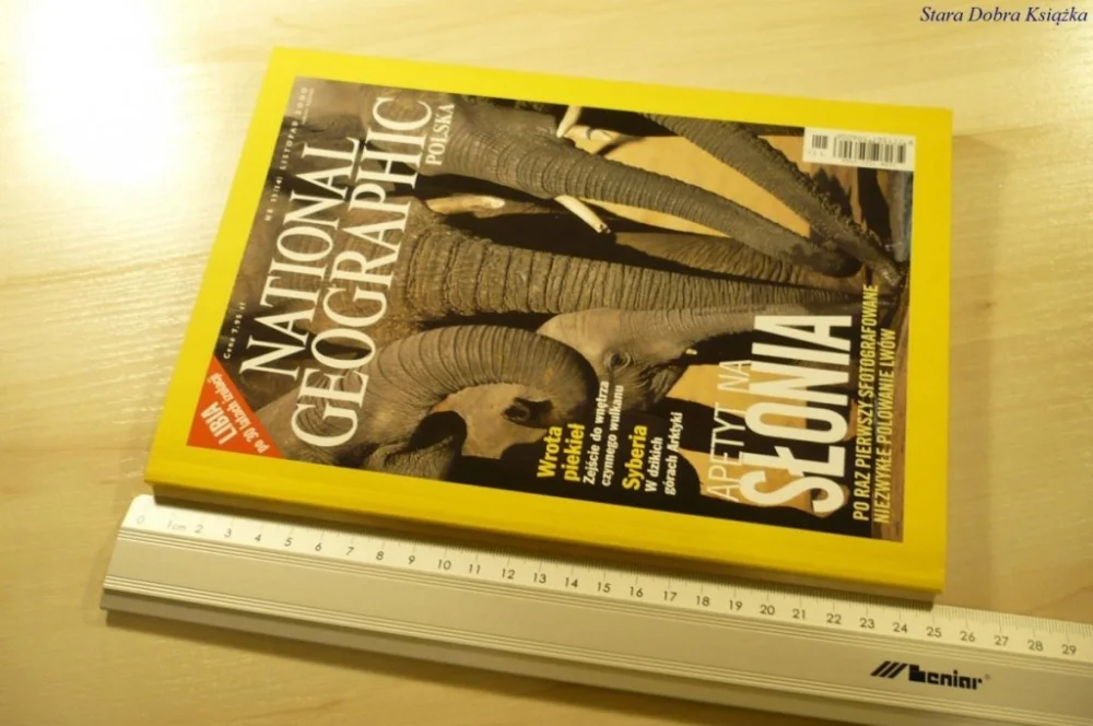 NATIONAL GEOGRAPHIC POLSKA 11 (14) LISTOPAD 2000 Rabat