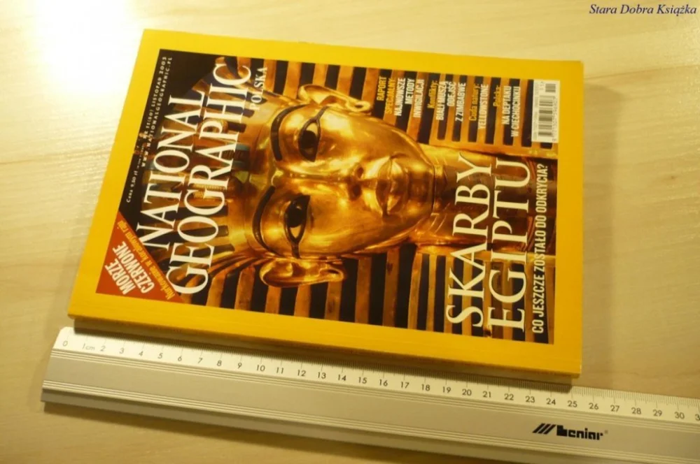 NATIONAL GEOGRAPHIC POLSKA NR 11 (50) LISTOP 2003 Kup online