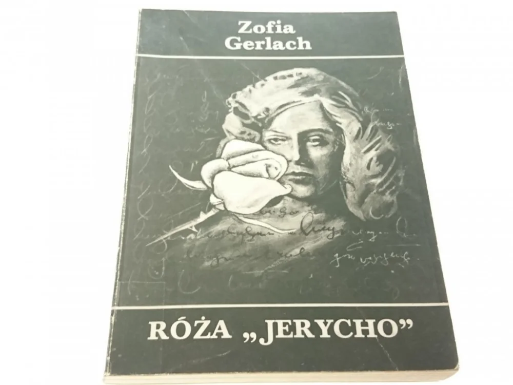 RÓŻA 'JERYCHO' - Zofia Gerlach (1985) Tani