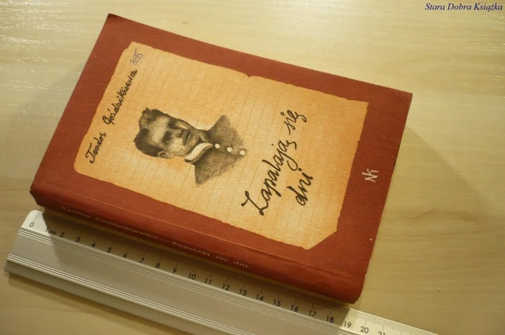 Bezpieczne zakupy ZAPALAJĄ SIĘ DNI - Teodor Goździkiewicz (1982)