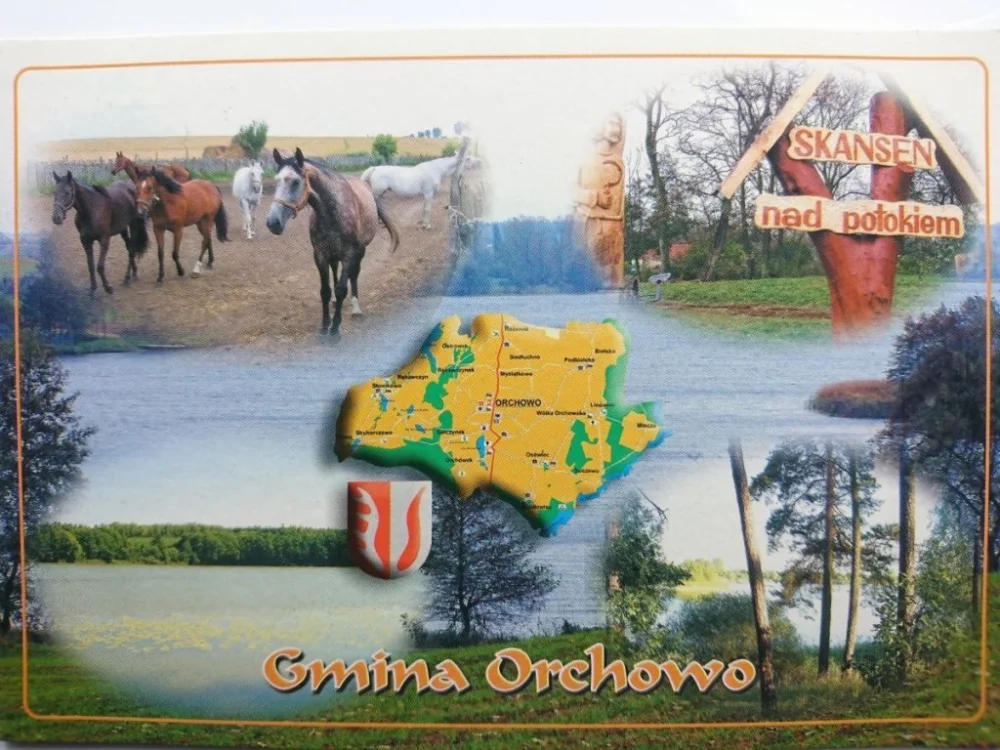 GMINA ORCHOWO. STADNINA KONI W ORCHOWIE Bezpieczne zakupy