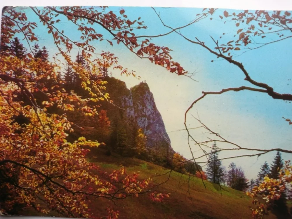 PIENINY. TRZY KORONY - WIDOK Z... FOT. T. BILIŃSKI Dodaj do koszyka
