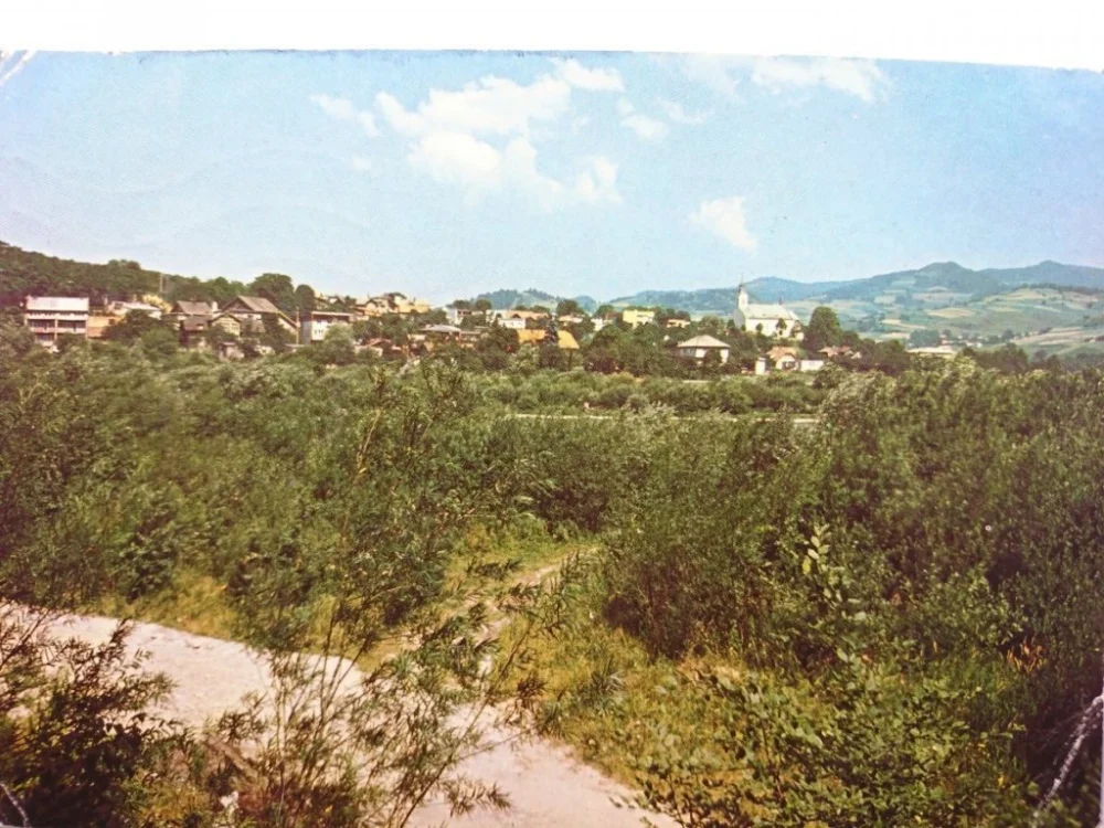 Najlepsza cena PIWNICZNA. WIDOK OGÓLNY FOT. T. OLSZEWSKI