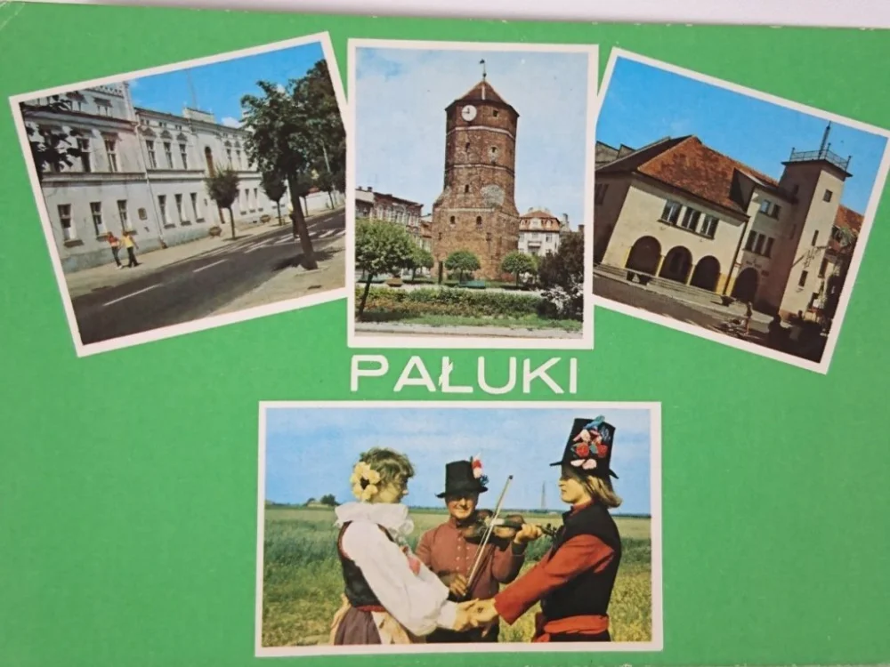 Ostatnie sztuki PAŁUKI. SZUBIN - URZĄD MIEJSKI...FOT. CZARNOGÓRSKI