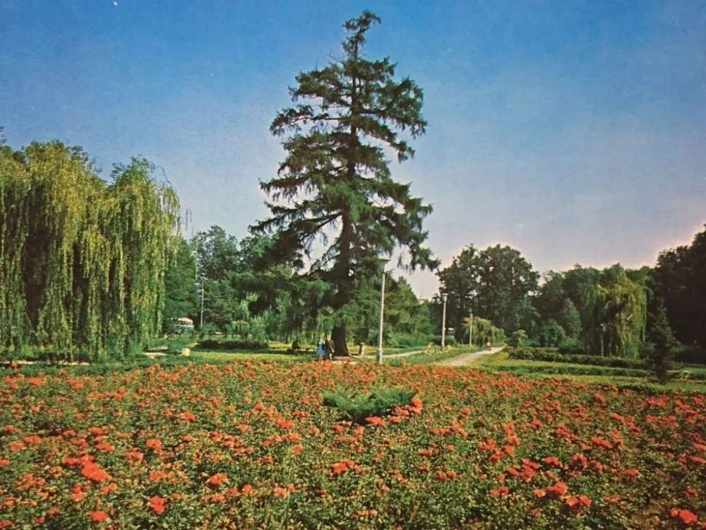 PUŁAWY. PARK FOT. K. JABŁOŃSKI Bestseller