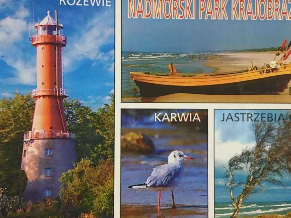ROZEWIE. NADMORSKI PARK KRAJOBRAZOWY FOT. R. GAUER Kup online