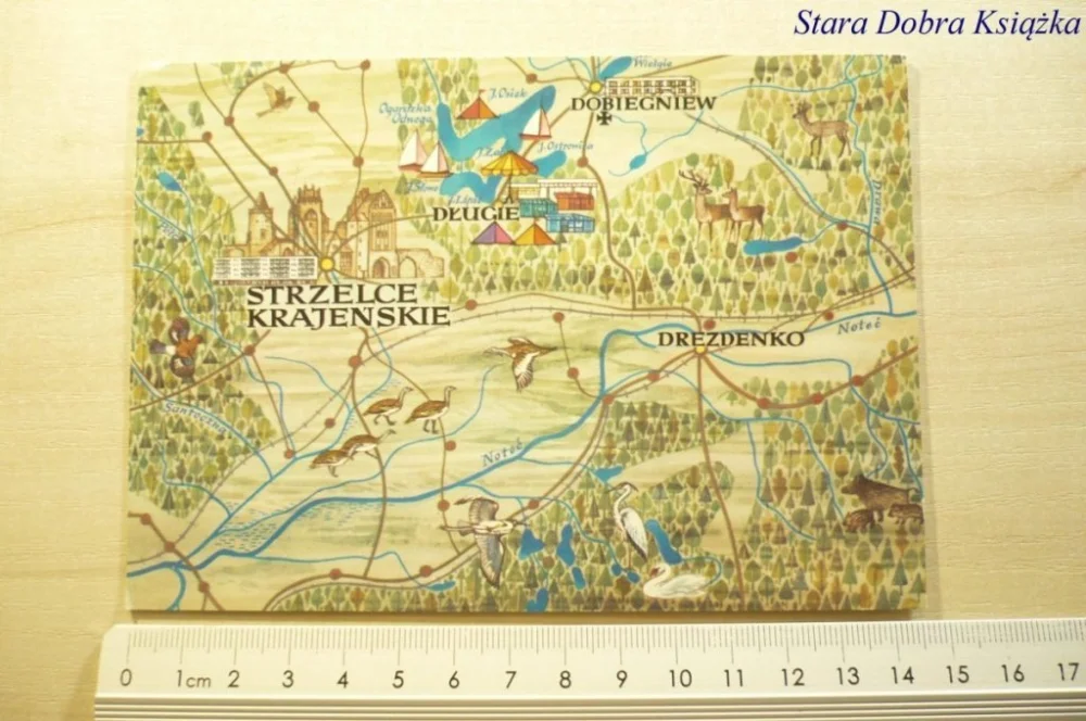 REGION STRZELCE KRAJEŃSKIE...PROJ. BALICKA-FRIBES Zamów teraz