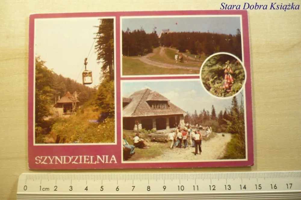 SZYNDZIELNIA. SZCZYT W BESKIDZIE...FOT. PODZIEWSKI Obniżka ceny