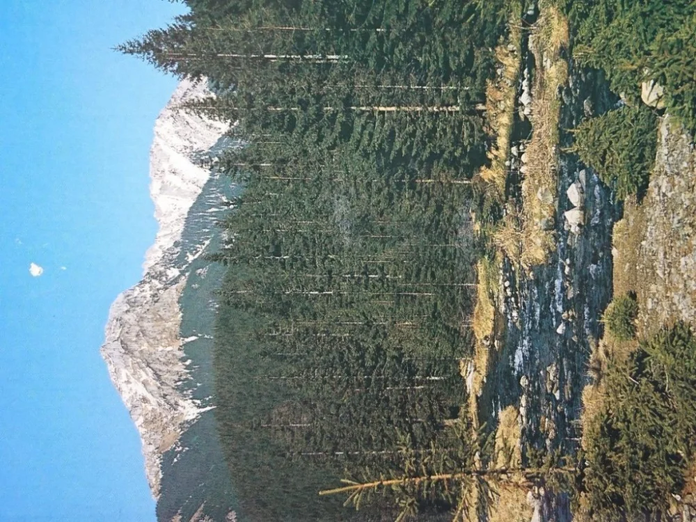Tylko dziś TATRY - DOLINA CHOCHOŁOWSKA, W GŁĘBI KOMINIARSKI