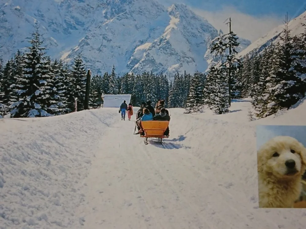 Ekspresowa dostawa TATRY WYSOKIE. DROGA DO MORSKIEGO OKA...FOT. MOMOT