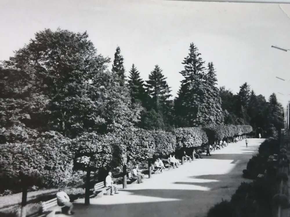 ŚWIERADÓW ZDRÓJ. PARK FOT. L. KORPAL Hit cenowy