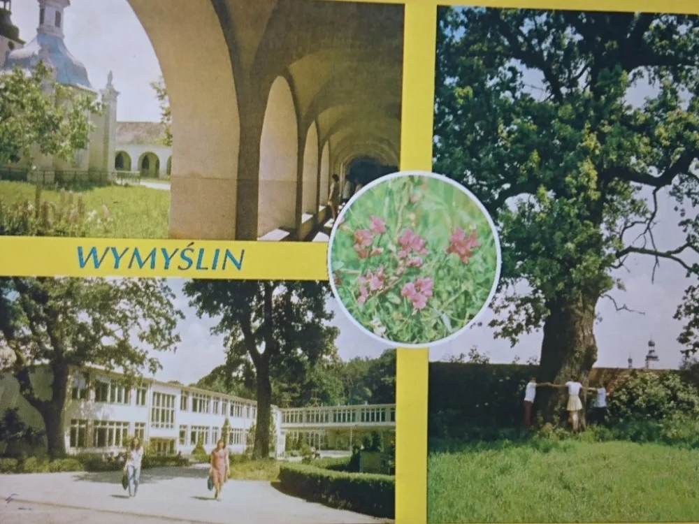Najlepsza cena WYMYŚLIN. MIEJSCOWOŚĆ LETNISKOWA FOT. PAWŁOWSKI