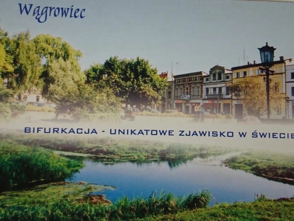 Tylko do końca tygodnia WĄGROWIEC. RYNEK; BIFURKACJA - SKRZYŻOWANIE RZEK