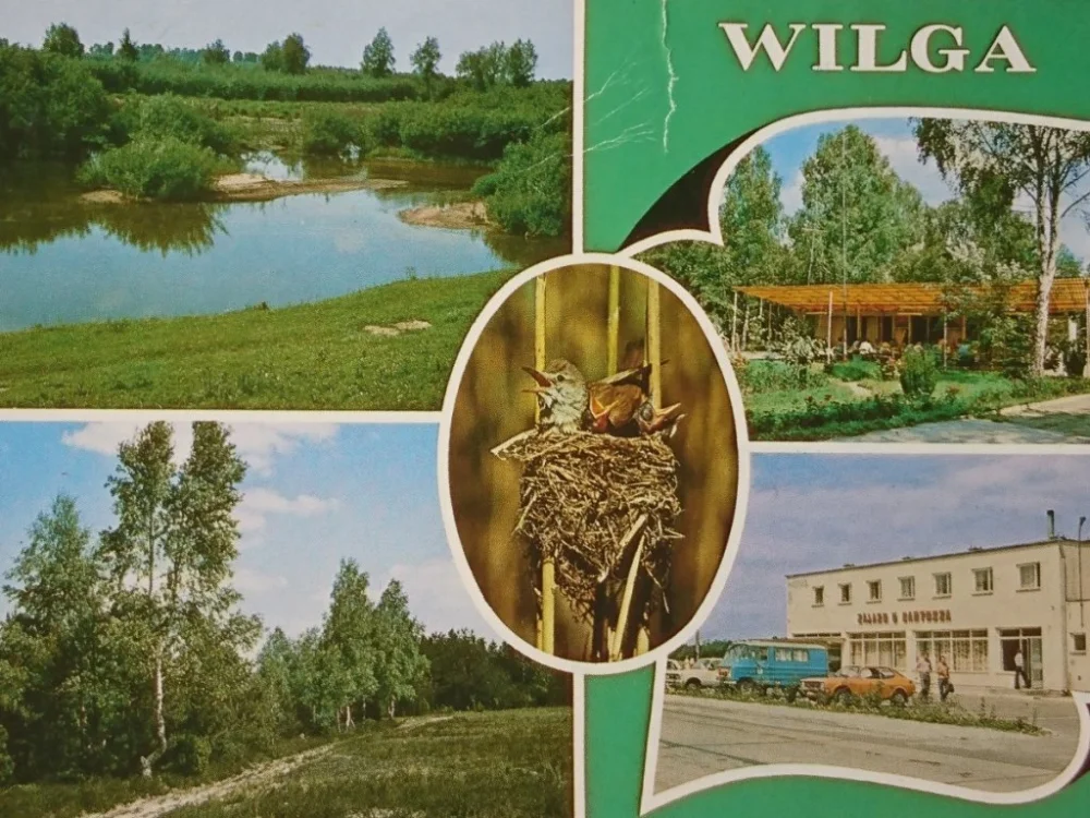 Szybka dostawa WILGA. WIEŚ LETNISKOWA NAD RZEKĄ... FOT. JOHANN