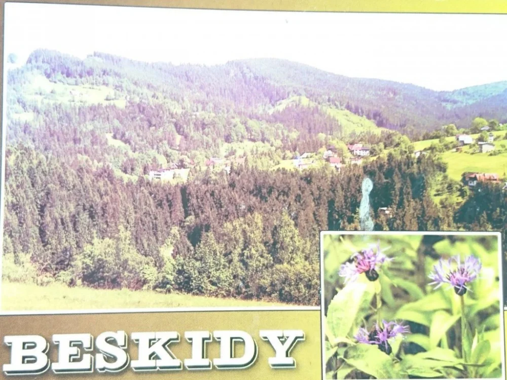 WISŁA-GŁĘBCE FOT. M. CZYŻ Promocja