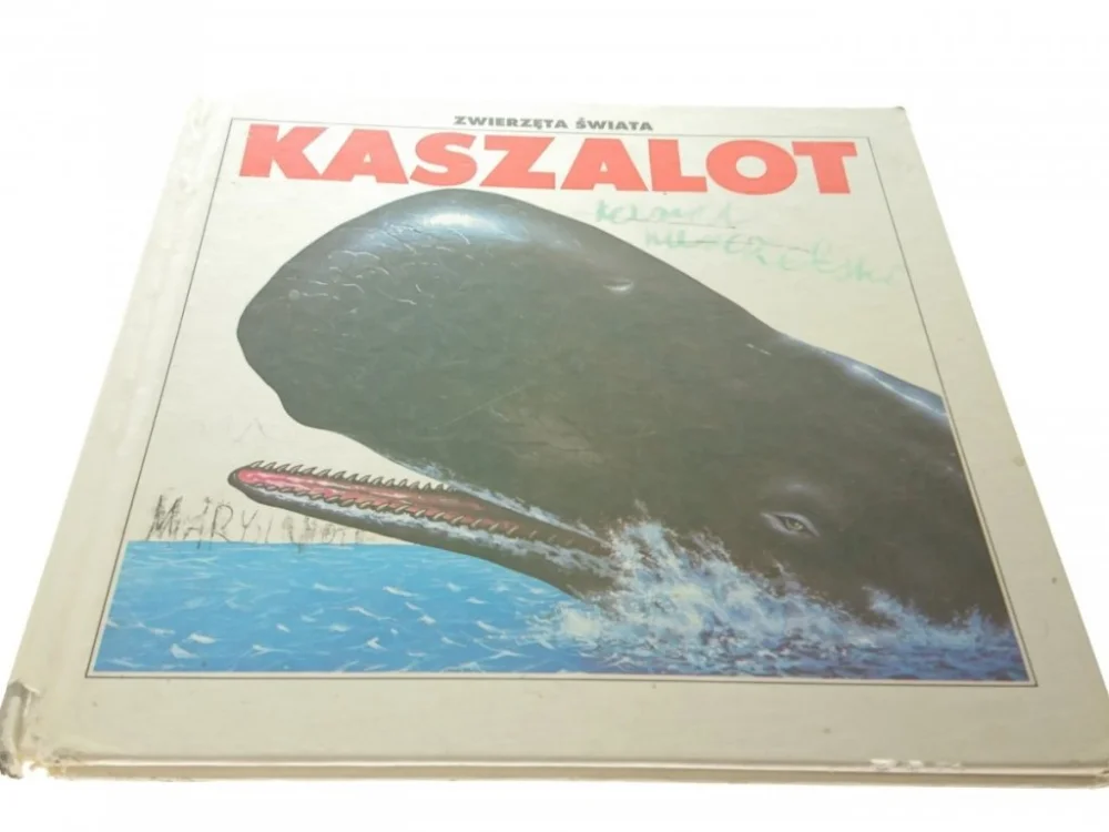 ZWIERZĘTA ŚWIATA. KASZALOT - Karol Sabath Szybka dostawa