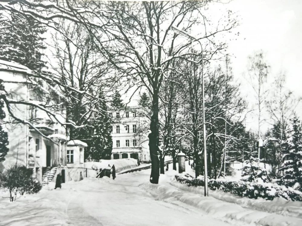 Kup teraz LĄDEK ZDRÓJ. FRAGMENT UZDROWISKA FOT. J. SIUDECKI