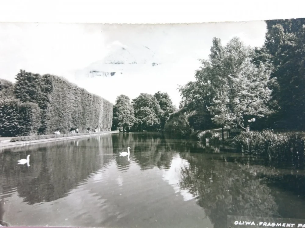 OLIWA. FRAGMENT PARKU Tylko do końca tygodnia
