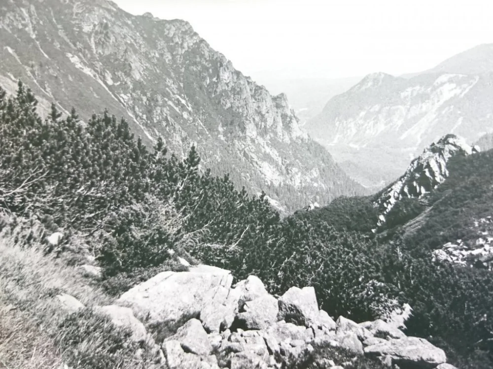 TATRY WYSOKIE. WIDOK Z DROGI OD... FOT. W. DEDERKO Taniej