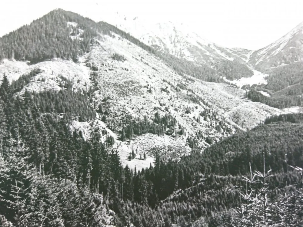 TATRY ZACHODNIE. WIDOK Z PRZEŁĘCZY FOT. WERNER Zniżka