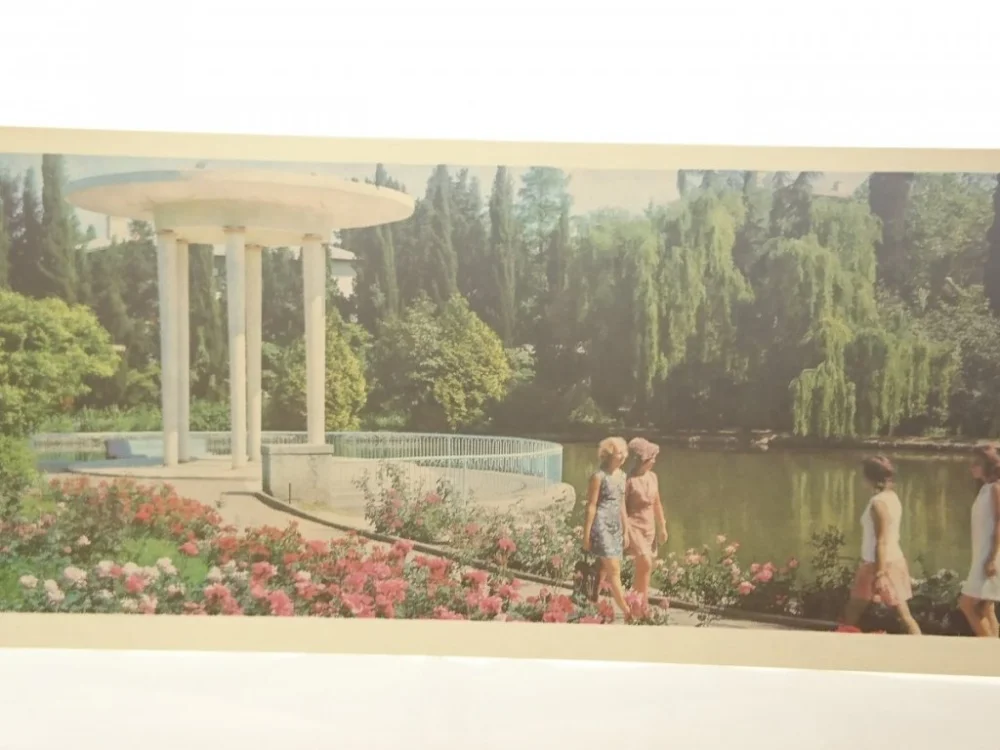 Zamów teraz SOCZI POWIERZCHNIA LEŚNA WIDOKÓWKA W JĘZ ROSYJSKIM