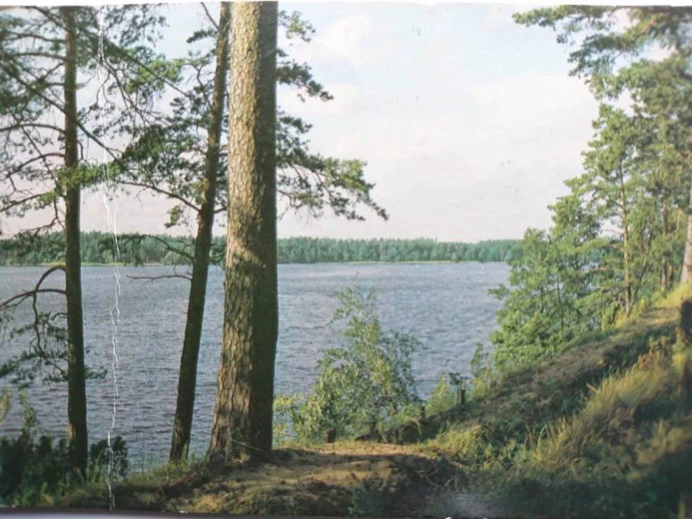 JEZIORO AUGUSTOWSKIE. JEZIORO SAJNO FOT. SUROWIEC Kup teraz
