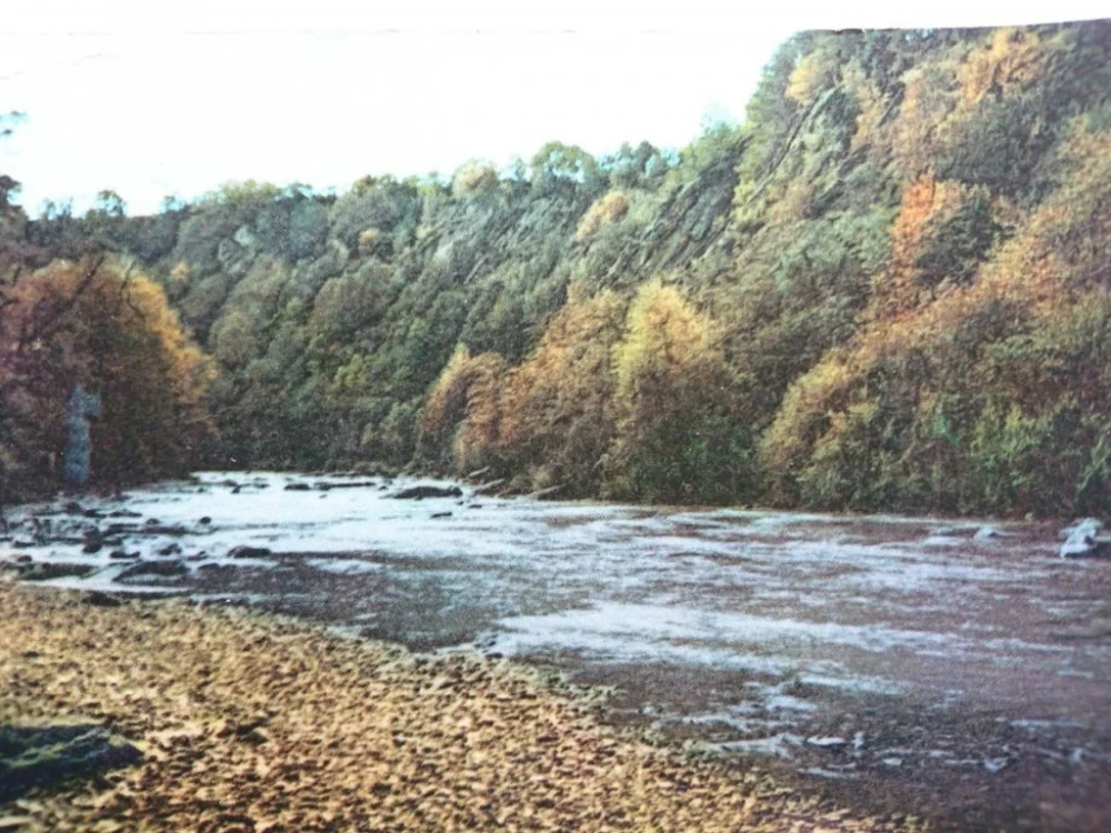 BIESZCZADY. WISŁOK POD BESKIEM FOT. T. SUMIŃSKI Wybór klientów