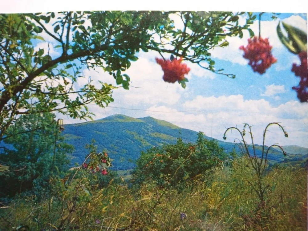 Zamów teraz BIESZCZADY. POŁONINA CARYŃSKA FOT. D. KWIATKOWSKI