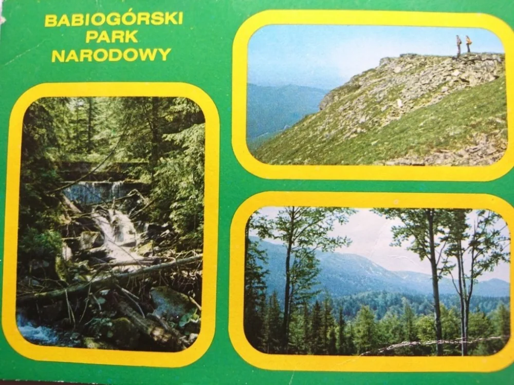 Hit sprzedaży BABIOGÓRSKI PARK NARODOWY FOT. Z. ŁAGOCKI