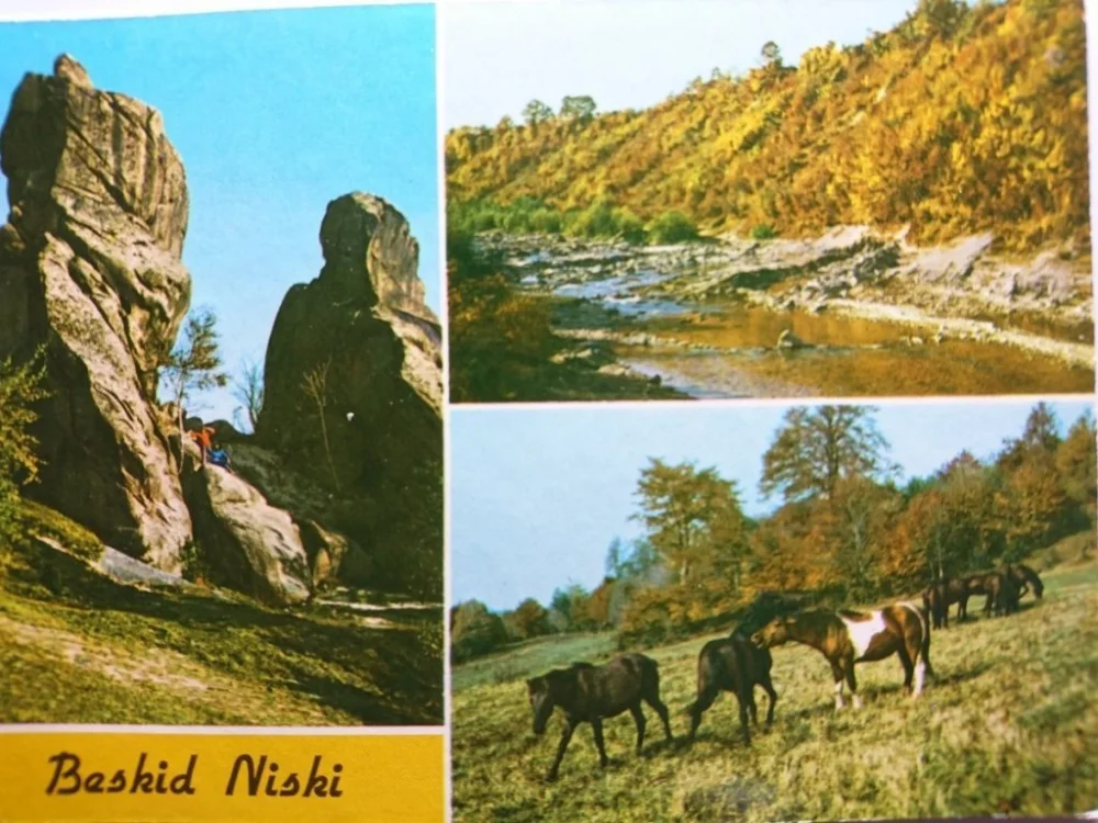 Nie przegap BESKID NISKI. REZERWAT SKALNY... FOT. RACZKOWSKI