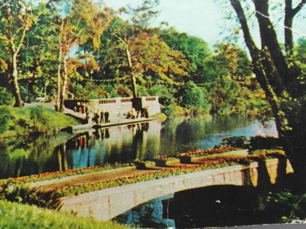 Najlepsza cena CHORZÓW-KATOWICE. WOJEWÓDZKI PARK FOT. KAMYKOWSKI