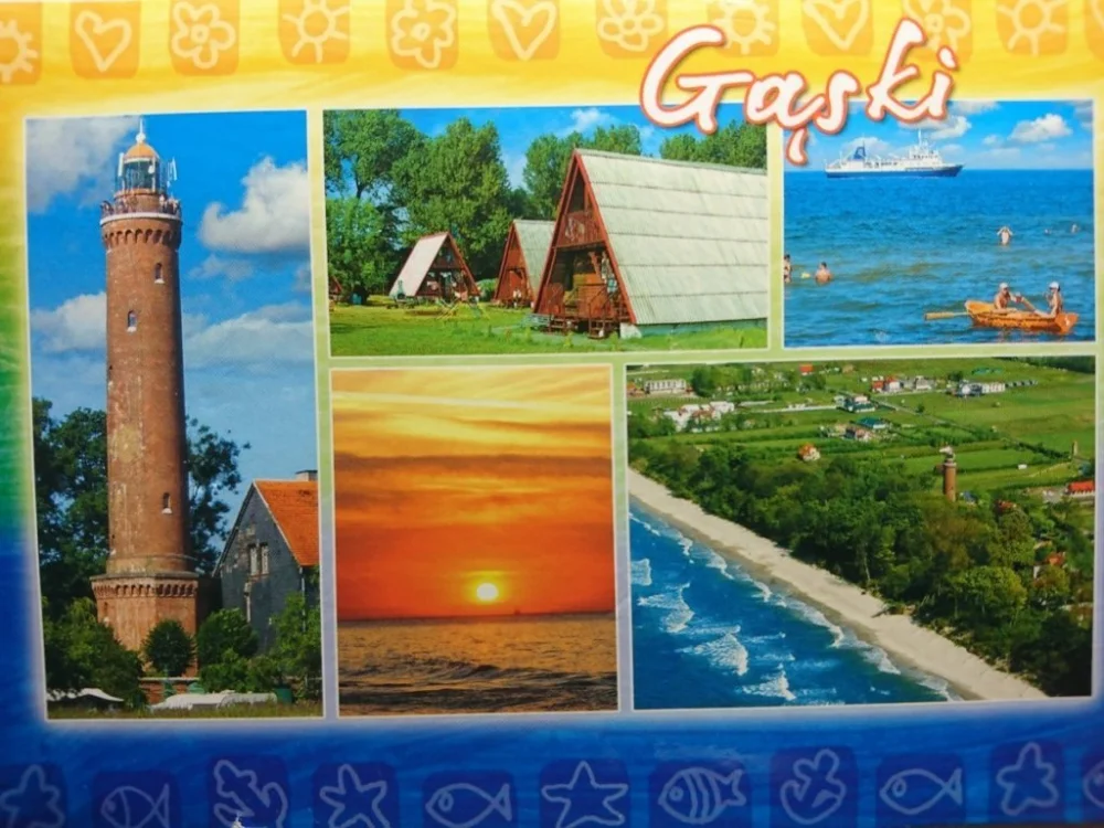 Dostępne od ręki GĄSKI. POCZTÓWKA