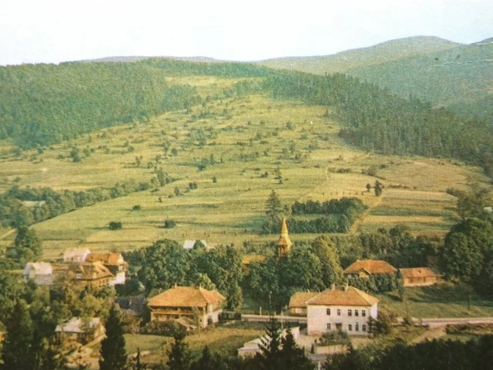 Wybór klientów ZAWOJA. WIDOK OGÓLNY FOT. Z. KAMYKOWSKI