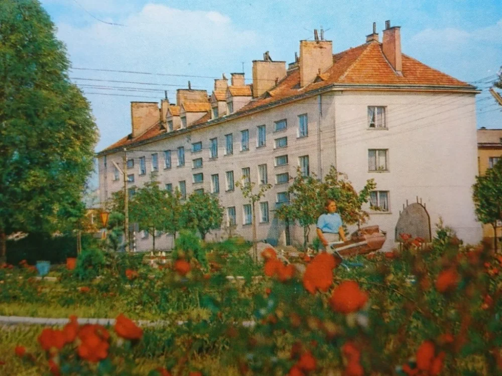 Dodaj do koszyka MONKI. SKWER PRZY ULICY MANIFESTU... FOT. SUROWIEC