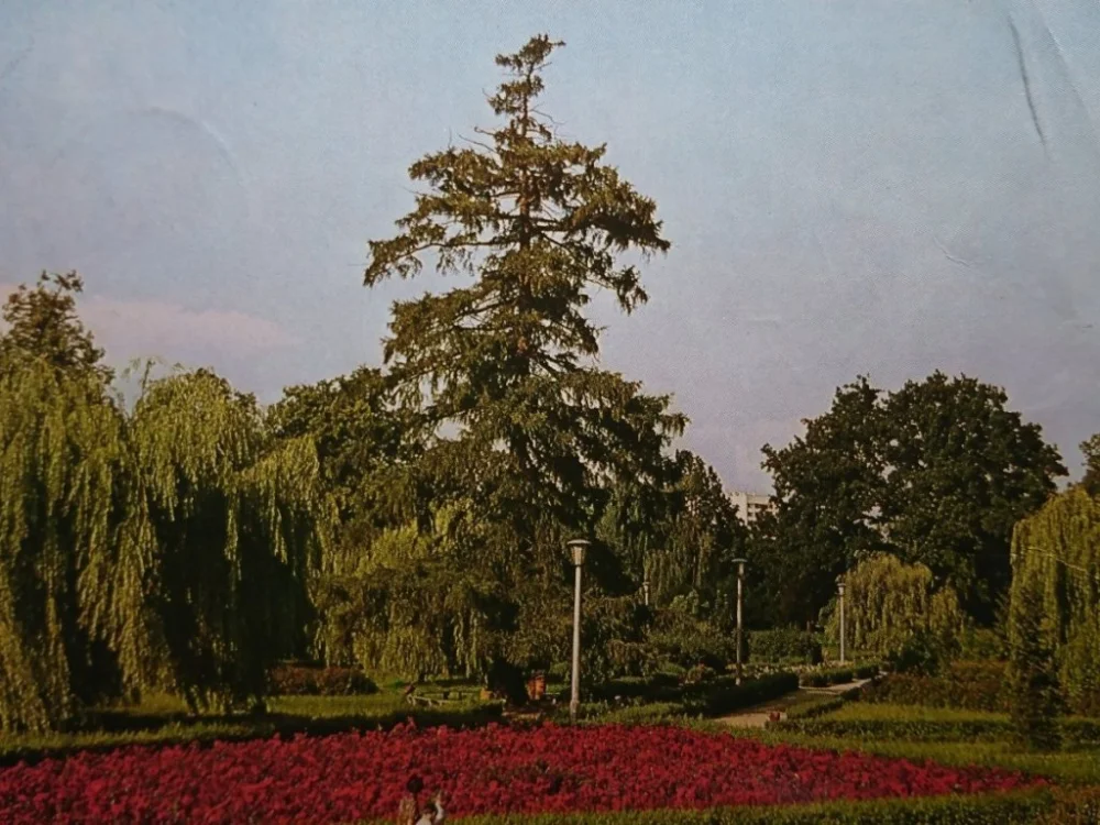 PUŁAWY. PARK FOT. A. STELMACH Kup online