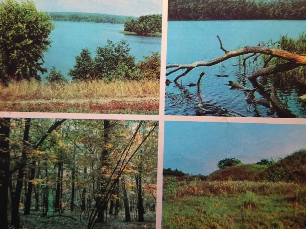 WIELKOPOLSKI PARK NARODOWY. JEZIORO FOT KRASSOWSKI Ostatnie sztuki