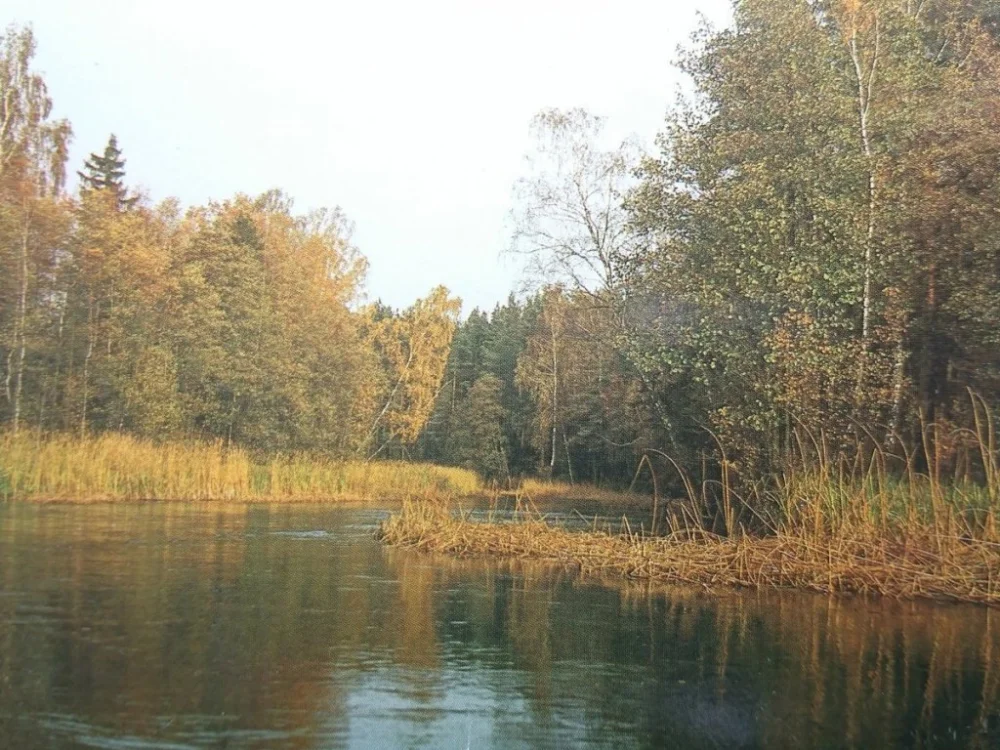 Wyjątkowa oferta POJEZIERZE SUWALSKIE. RZEKA CZARNA FOT. ŁAPIŃSKI