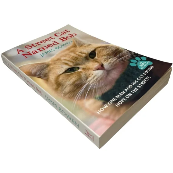 A Street Cat Named Bob James Bowen Super okazja