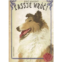 Lassie wróć! Niska cena