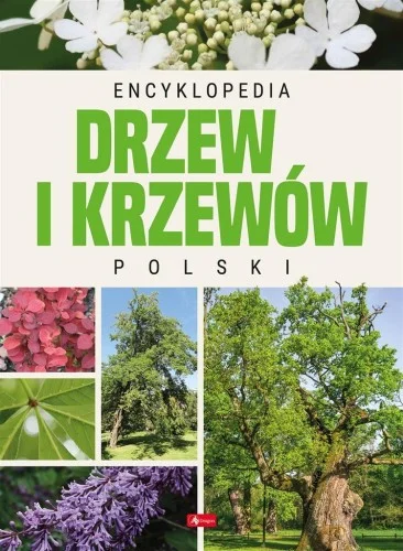 ENCYKLOPEDIA DRZEW I KRZEWW POLSKI Zniżka
