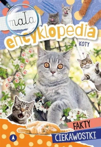 Tani MAŁA ENCYKLOPEDIA. KOTY, WIOLETA ŹYŁOWSKA