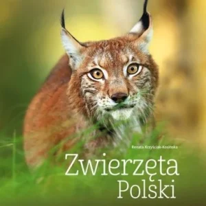 ZWIERZĘTA POLSKI, RENATA KOSI艃SKA Oferta